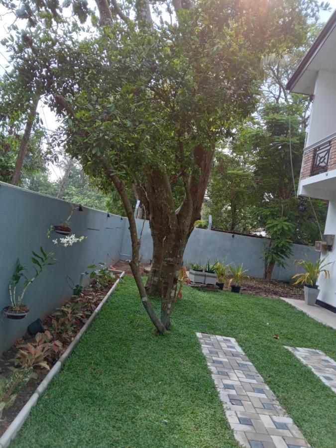Sky Bloom Bed & Breakfast Homagama ภายนอก รูปภาพ
