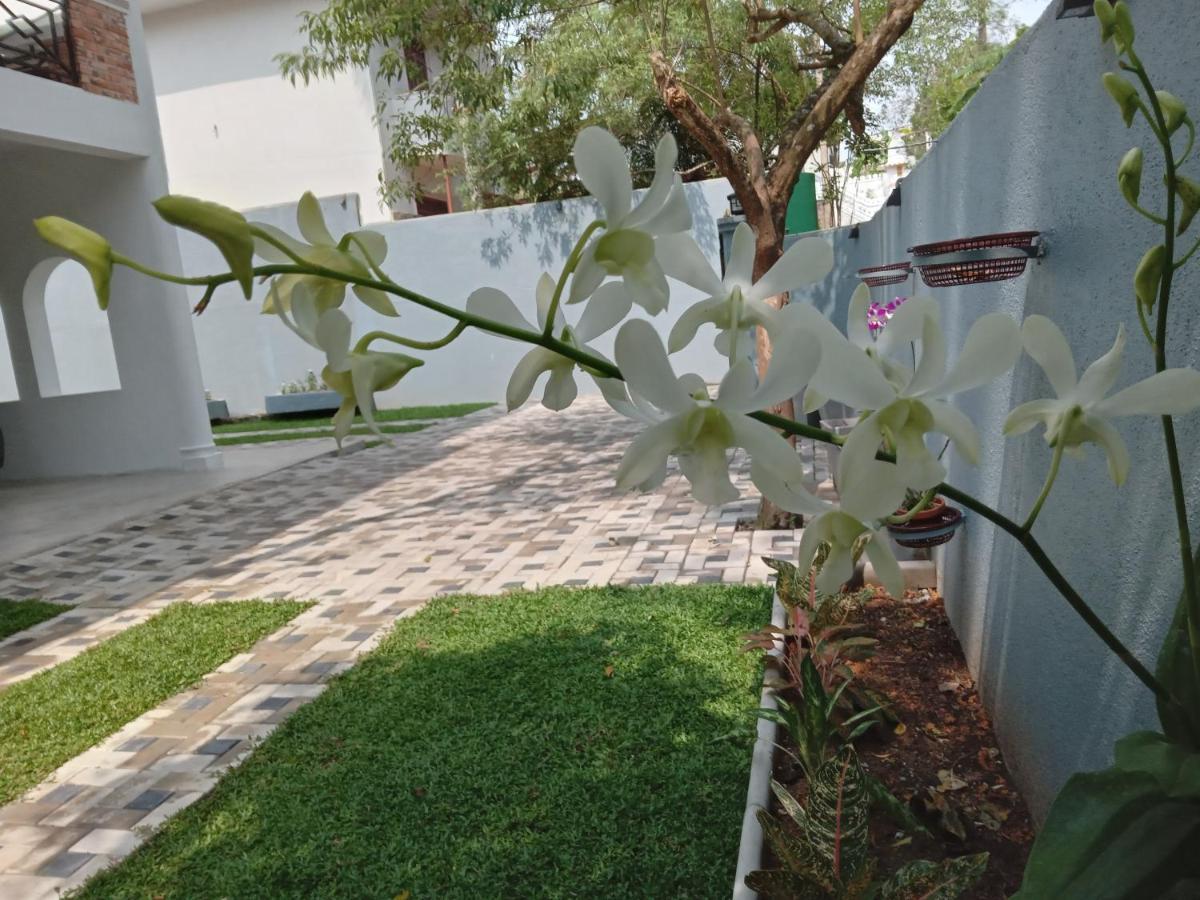 Sky Bloom Bed & Breakfast Homagama ภายนอก รูปภาพ