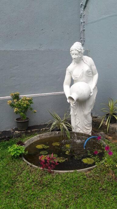Sky Bloom Bed & Breakfast Homagama ภายนอก รูปภาพ